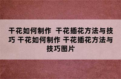 干花如何制作  干花插花方法与技巧 干花如何制作 干花插花方法与技巧图片